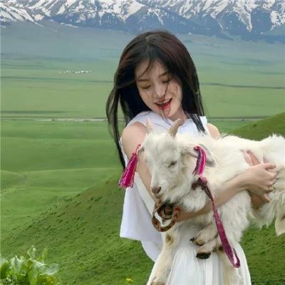 报仇雪恨