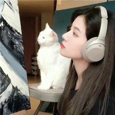 大欺诈师